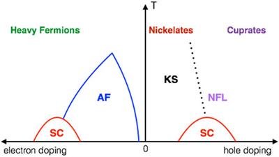 Self-Doping and the Mott-Kondo Scenario for Infinite-Layer Nickelate Superconductors